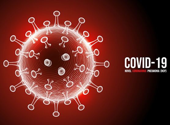 Economic response to the Coronavirus crisis